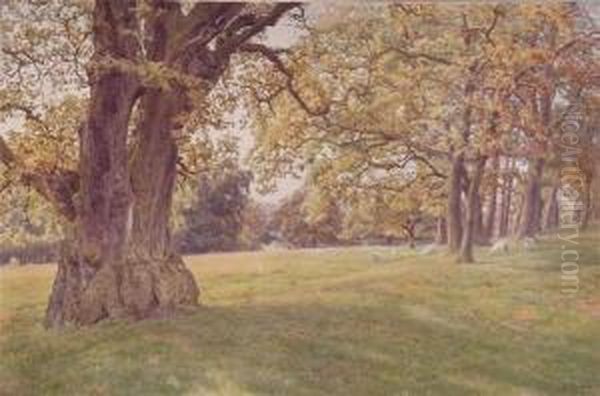 A Sunny Afternoon, October by James Towers