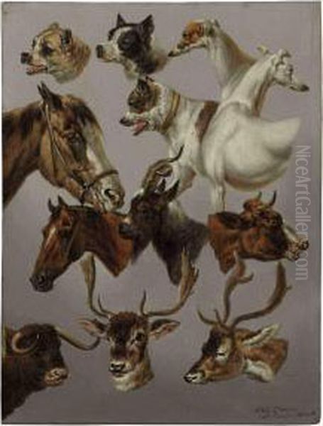 Animal Studies Oil Painting by Charles Towne