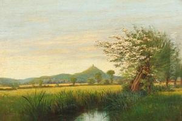 May Time On Ture Moor, Somerset Oil Painting by Alfred Oliver Townsend