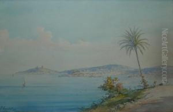 Rivage Mediterraneen Oil Painting by Domenico, Dominique Trachel