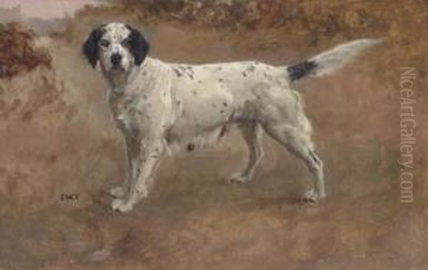 An English Setter Oil Painting by John Martin Tracy