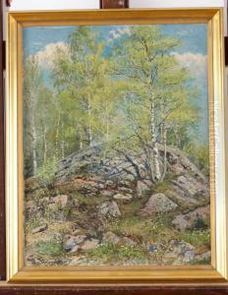 Varbjorkar Oil Painting by Hjalmar Trafvenfeldt