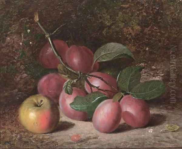 Plums and an apple, on a mossy bank Oil Painting by Charles Archer