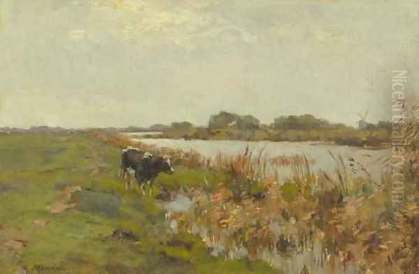 A cow in a polder landscape Oil Painting by Gerard Altman