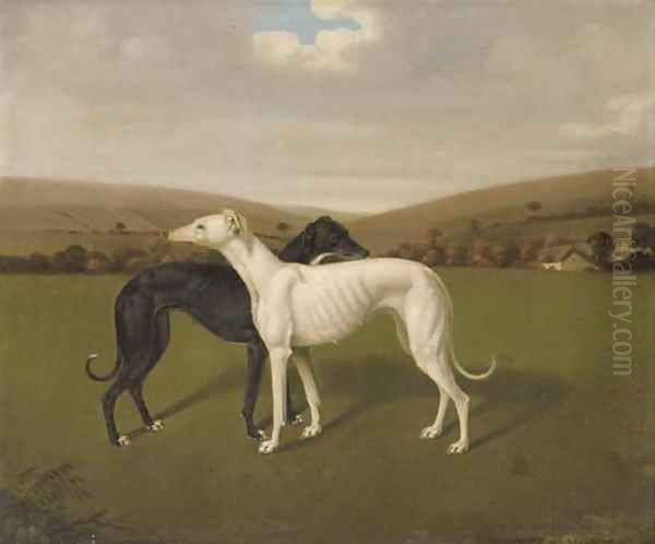 A Pair Of Greyhounds Oil Painting by Jacques Laurent Agasse