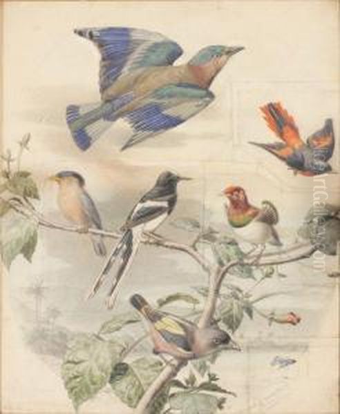 Composition Aux Oiseaux Exotiques Oil Painting by Edouard Travies