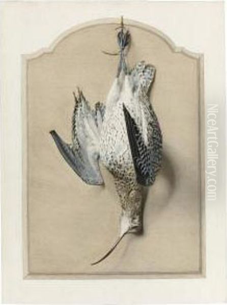 Trompe L'oeil With A Curlew Oil Painting by Edouard Travies