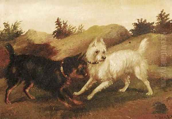 Terriers ratting Oil Painting by George Armfield