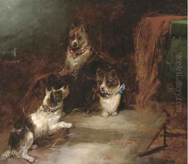 Terriers in a barn Oil Painting by George Armfield