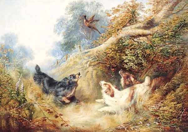 Spaniels flushing out a Pheasant Oil Painting by George Armfield