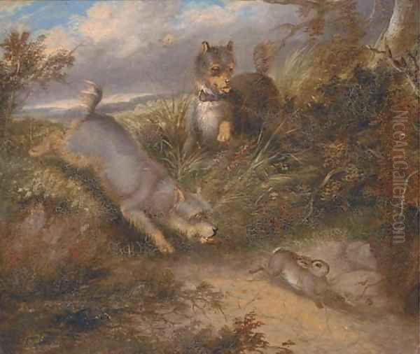 Terriers chasing a rabbit Oil Painting by George Armfield