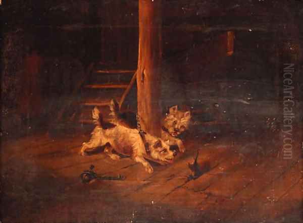 Terriers ratting in a barn Oil Painting by George Armfield