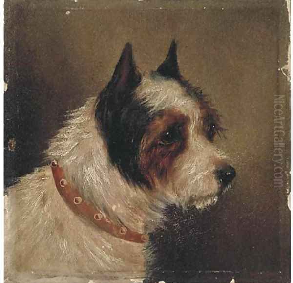 The head of a terrier Oil Painting by George Armfield