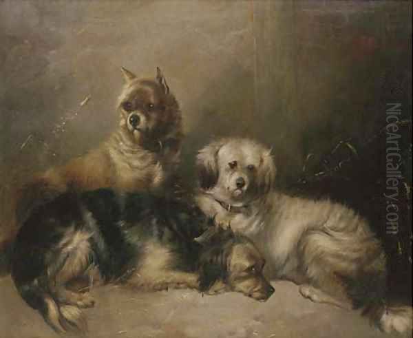 Three mischievous terriers Oil Painting by George Armfield