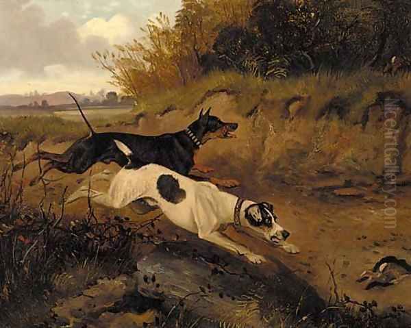 A doberman pinscher and a great dane chasing a rabbit Oil Painting by George Armfield