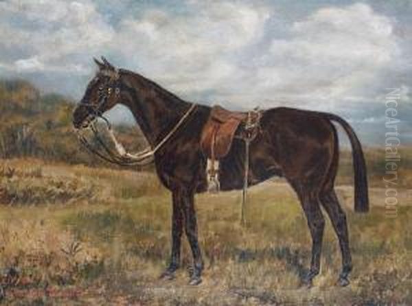 'liffey' - A Cavalry Horse Carrying A Sword Oil Painting by W. Wasdell Trickett