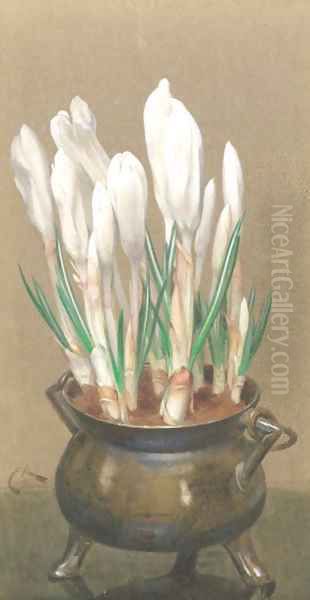 White crocuses in a pewter bowl Oil Painting by Edwin Alexander