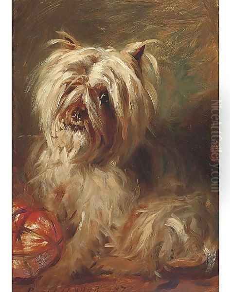 A cairn terrier by Robert L. Alexander