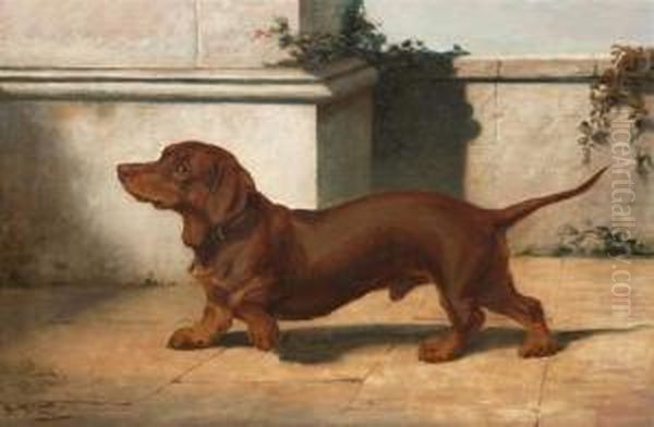 Short Haired Dachsund Oil Painting by William Henry Hamilton Trood