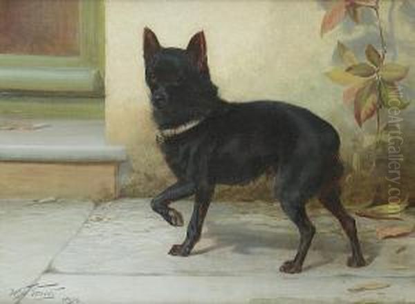 A Schipperke Oil Painting by William Henry Hamilton Trood