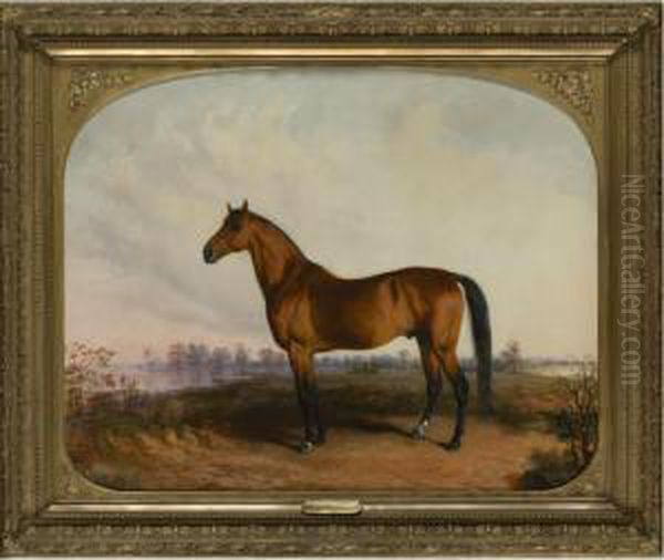 Major Winfield Oil Painting by Edward Troye