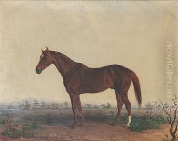 Portrait Of A Horse In A Southern Landscape Oil Painting by Edward Troye