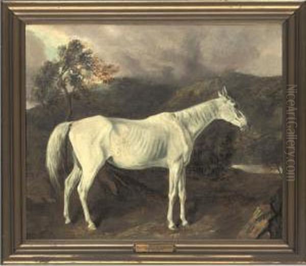 Reality By Sir Archy Out Of A Mare By Old Medley Oil Painting by Edward Troye