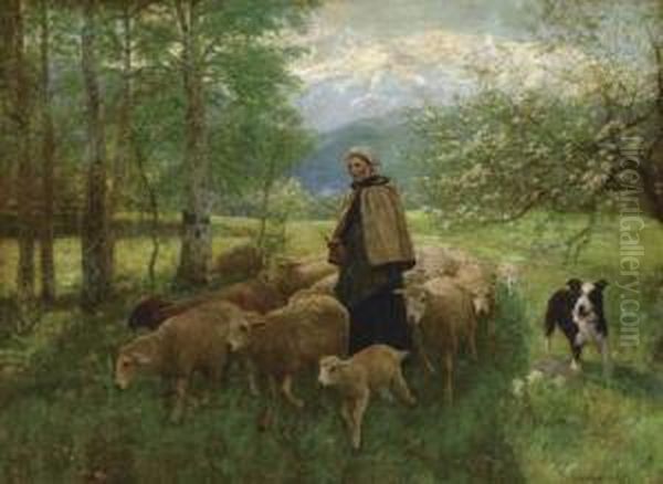 Shepherdess And Her Flock Oil Painting by Gaylord Sangston Truesdell