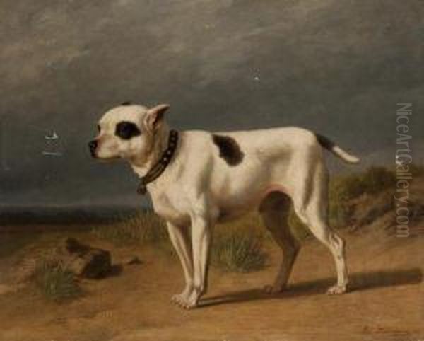 Portrait De Chien Sur La Plage Oil Painting by Edmond Jean Baptiste Tschaggeny