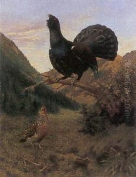 Big Black Cock Oil Painting by Rudolf Tschan