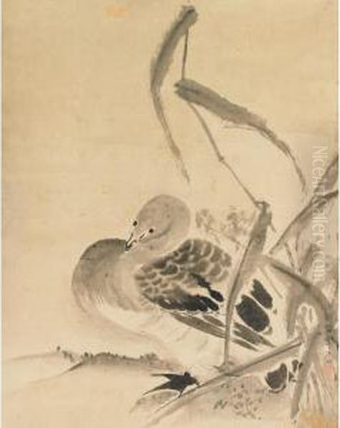 Wild Goose And Autumn Grass Oil Painting by Kano Tsunenobu