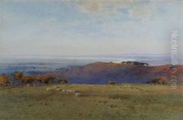 Sheep Grazing In An Extensive Landscape Oil Painting by Frederick Tucker