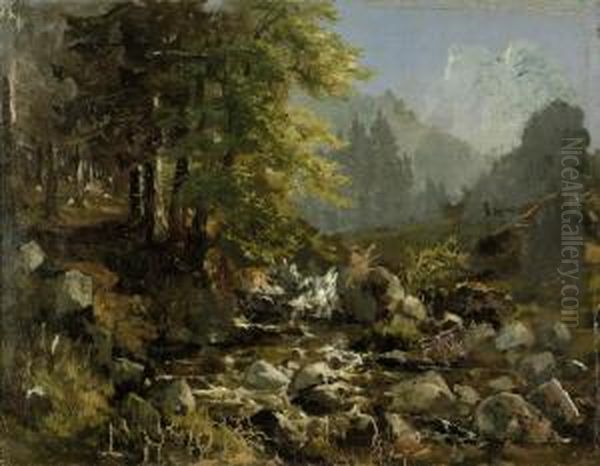 Harzlandschaft Mit Wildbach Oil Painting by Christian Tunica