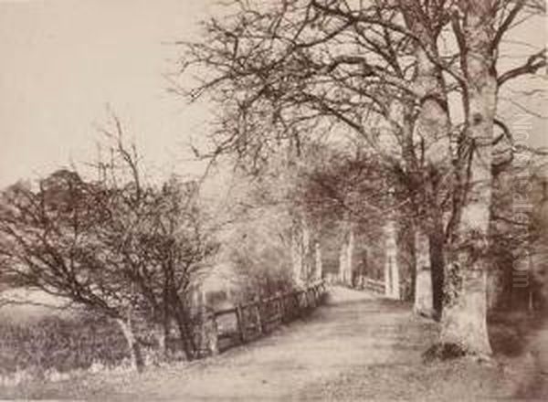 Causeway, Head Of The Lake, Losely [sic] Park Oil Painting by Benjamin Brecknell Turner