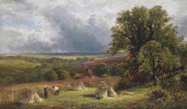 A Surrey Cornfield Oil Painting by George Turner