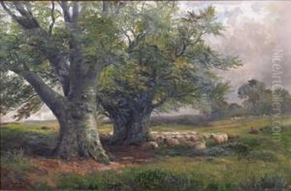 Beech Trees Near Ingleby, Derbyshire Oil Painting by George Turner