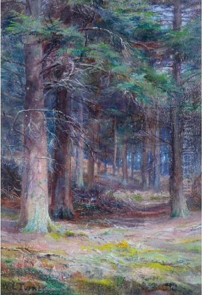 A Woodland Scene Oil Painting by William Lakin Turner