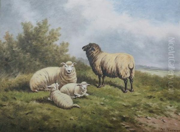 Sheep And Lambs Reposing Oil Painting by William Lakin Turner