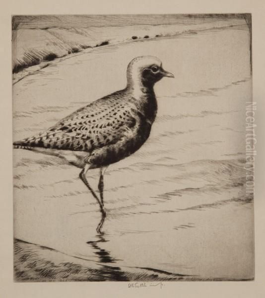 Black-bellied Plover Oil Painting by Henry Emerson Tuttle