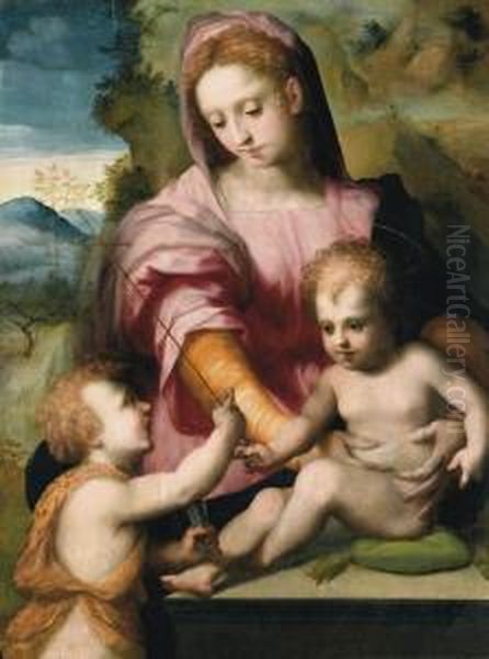 Madonna Col Bambino E San Giovannino Oil Painting by Domenico Puligo