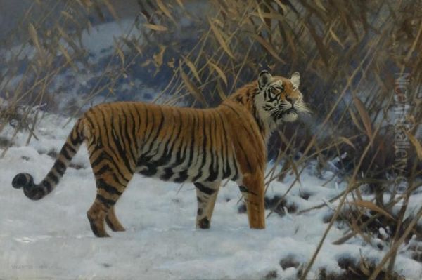 A Tiger Prowling In The Snow Oil Painting by Hugo Ungewitter