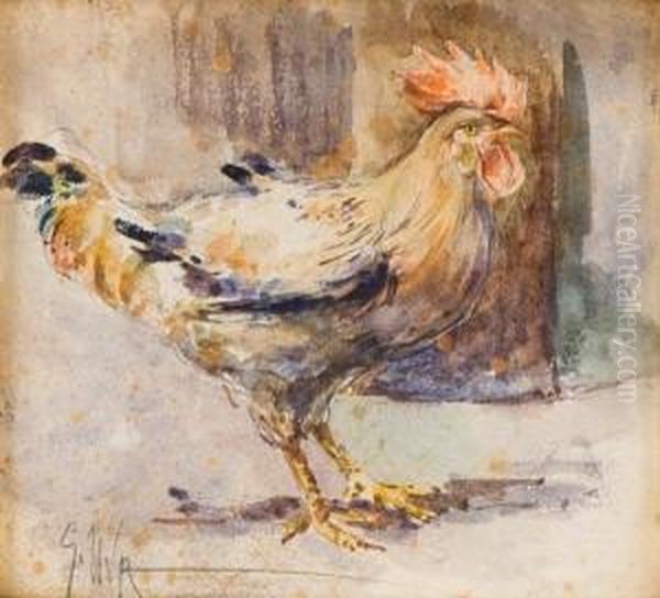 Gallo Oil Painting by Giuseppe Uva