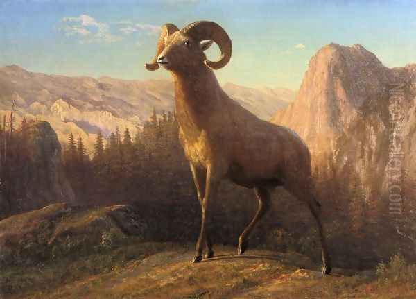 A Rocky Mountain Sheep Ovis Montana Oil Painting by Albert Bierstadt