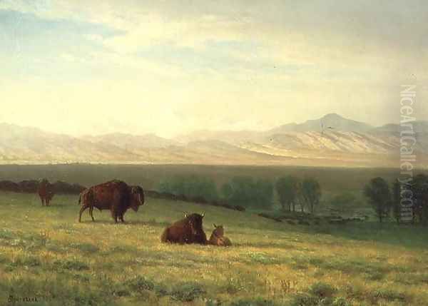 Buffalo on the Plains, c.1890 Oil Painting by Albert Bierstadt