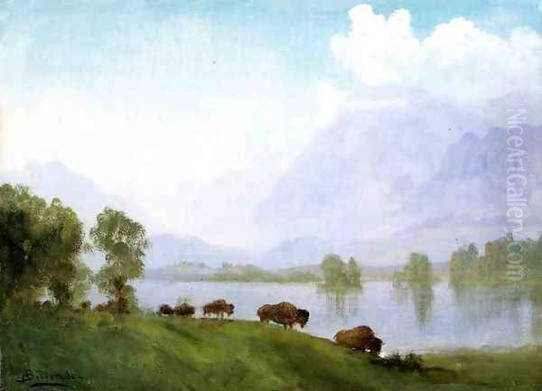 Buffalo Country Oil Painting by Albert Bierstadt