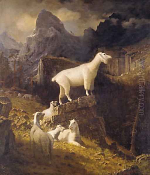 Rocky Mountain Goats Oil Painting by Albert Bierstadt