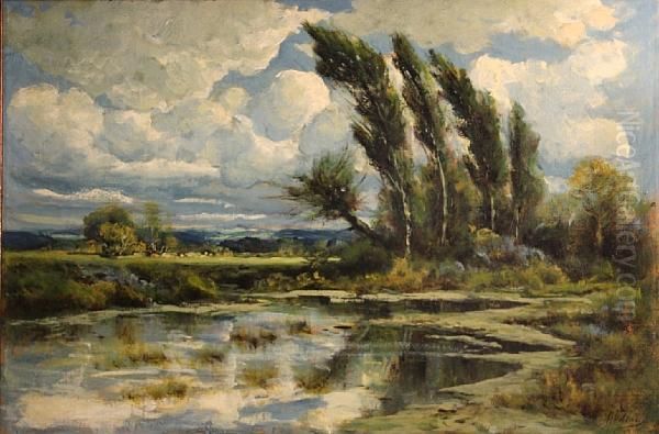 Wind Swept Trees Beside A Pond Oil Painting by Manuel Valencia