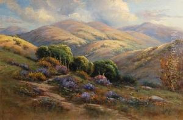 California Wildflowers On Rolling Hills Oil Painting by Manuel Valencia