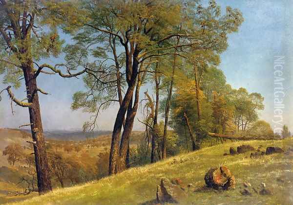 Landscape, Rockland County, California Oil Painting by Albert Bierstadt