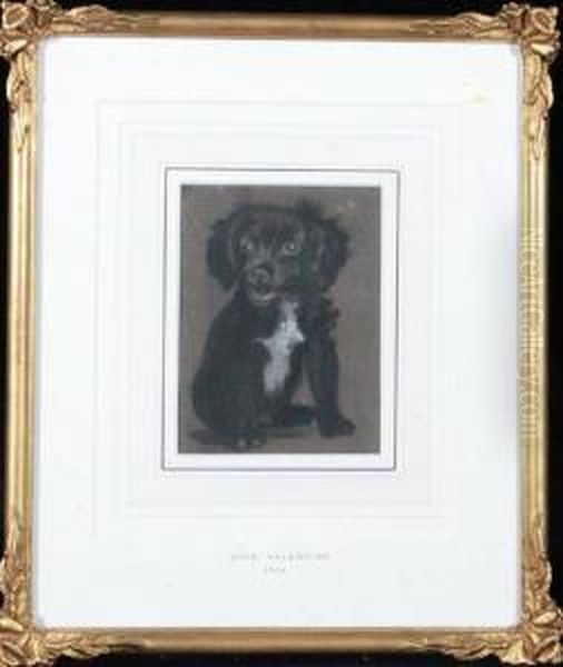 A Portrait Of A Black Puppy Oil Painting by John Valentine